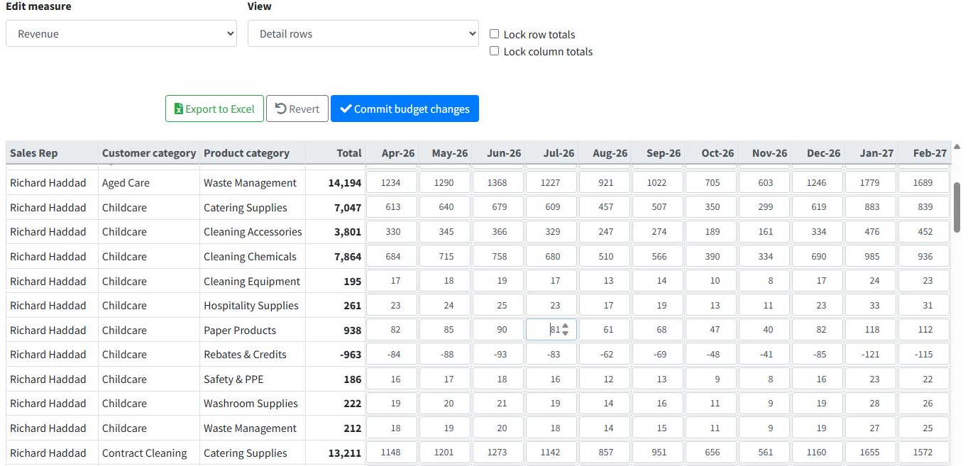 The Edit Budget grid in Detail view with one cell being edited